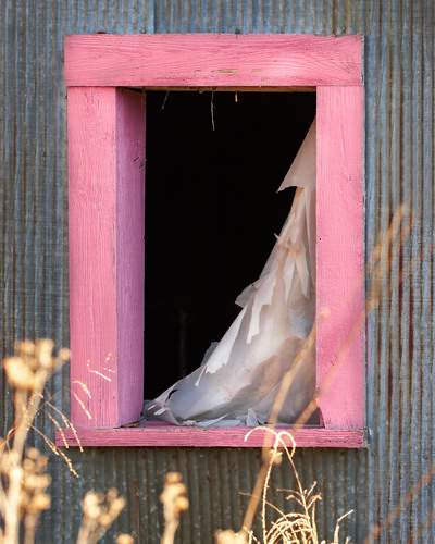 PinkWindow_W