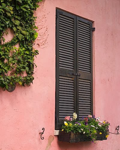 PinkWall&Window_W
